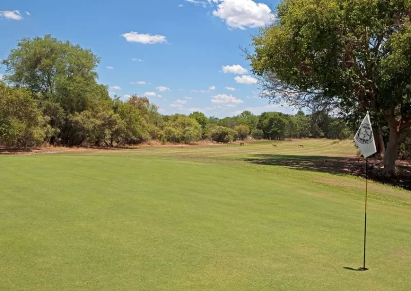 Elephant Hills Golf Courses