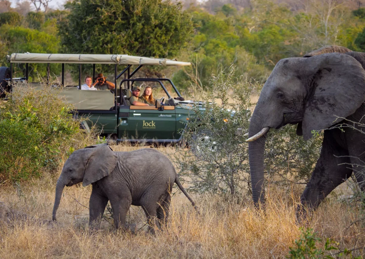 Jock-Safari-Lodge