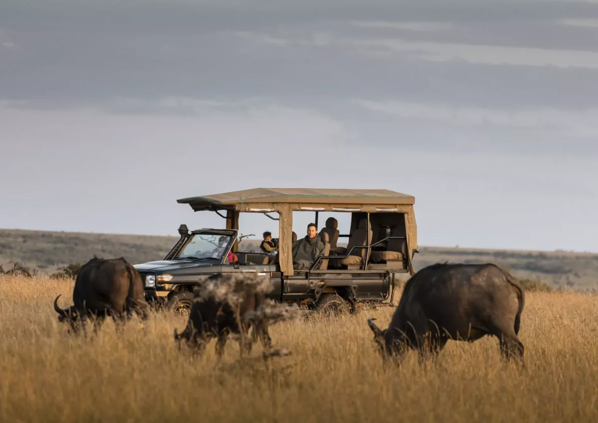 Safari in the Maasai Mara