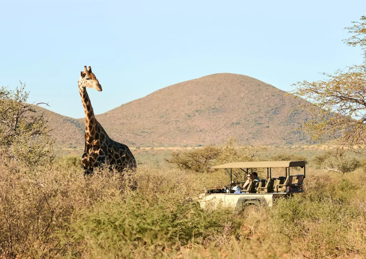 Tswalu Kalahari Reserve Day 6