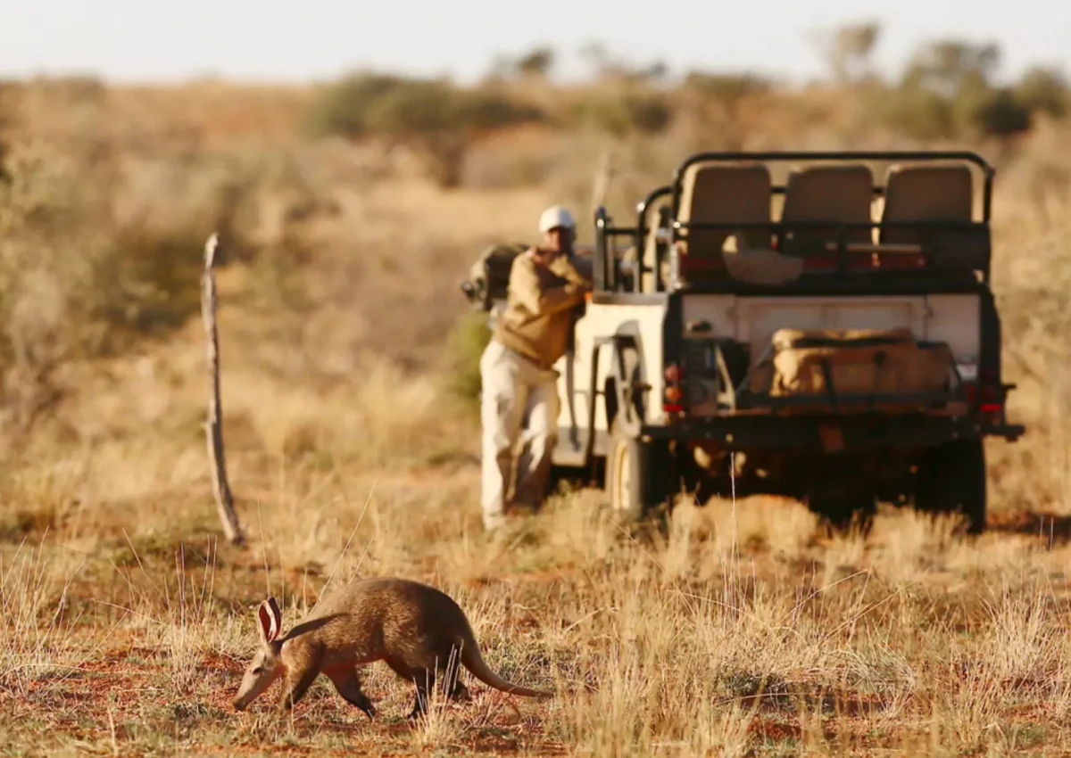 Tswalu Kalahari Reserve Day 9